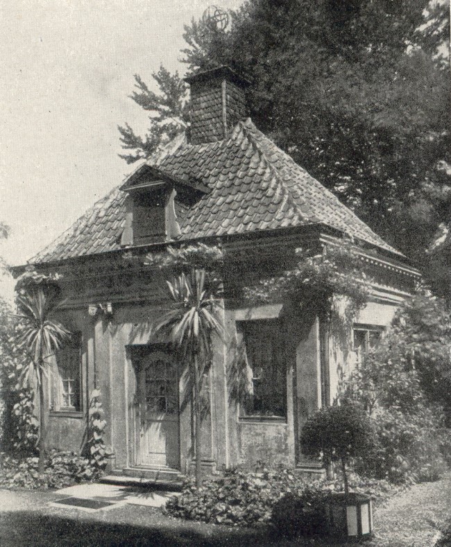 Exotische Palmen im alten Kleve