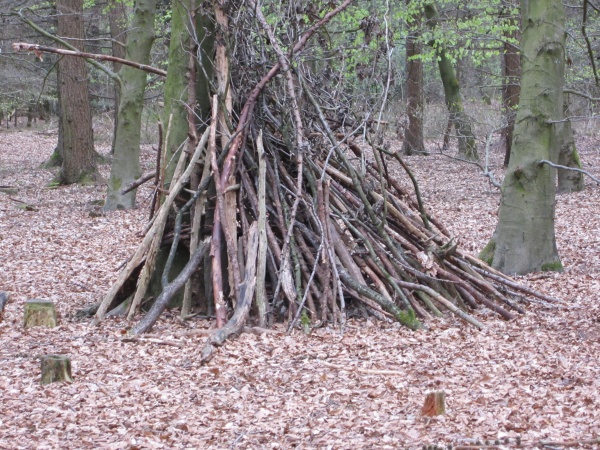 Hütten im Wald