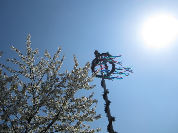 Maibaum im Kleverland