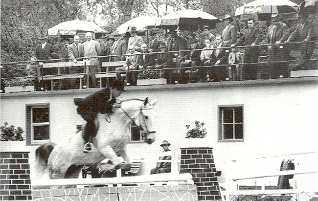 Paardensport in Bedburg-Hau