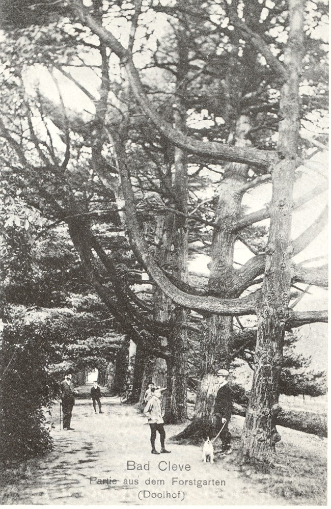 Wusstest Du das? Der Doolhof - das Labyrinth von Kleve