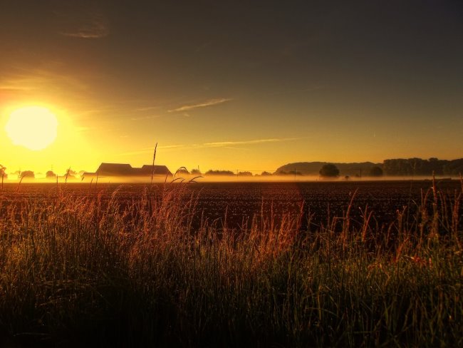 Die Galleien von Kleve