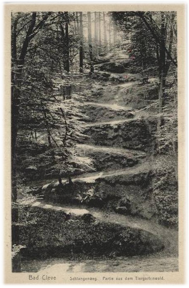 Kannteste den? Der Schlangenweg im Tiergartenwald von Kleve