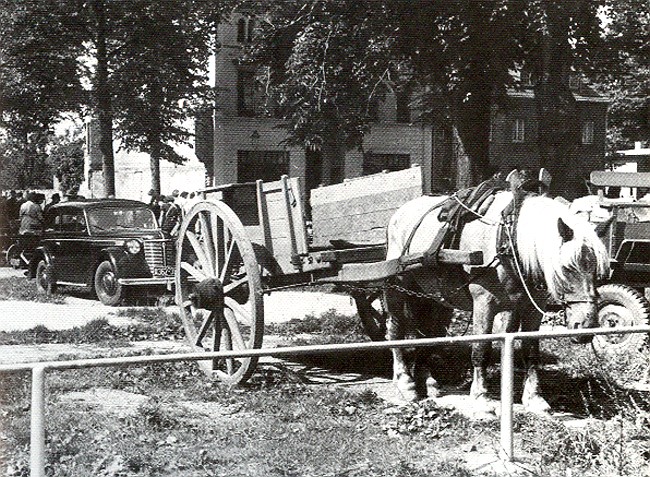 Kaum zu glauben: Wochenmarkt an der Linde