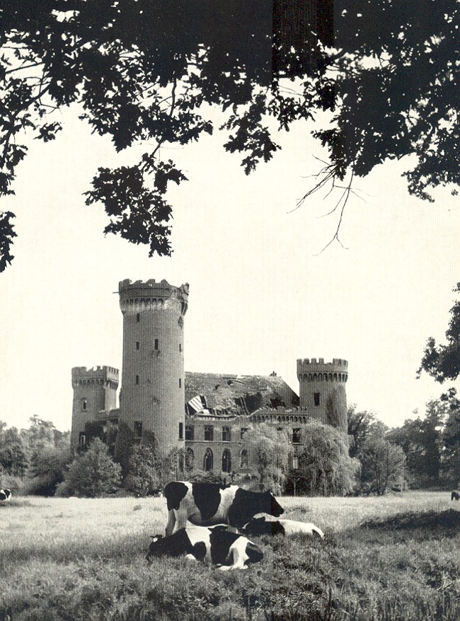 Ruine Schloss Moyland