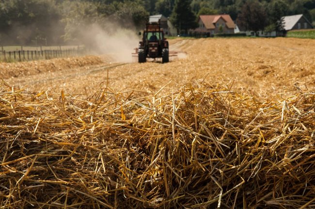 Bist Du dabei? Getreideernte in Kleve