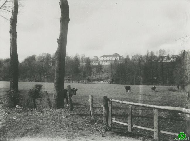 Alles anders heute: Die große Weide vor Hotel Maywald