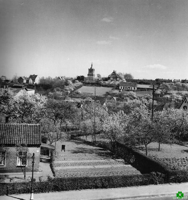 Es war einmal: Obst- und Gemüsegärten in Kleve