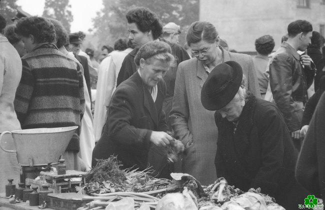 Der damals übervölkerte Wochenmarkt an der Linde