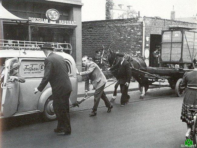 Gefährlicher Pferdetransport in Kleve