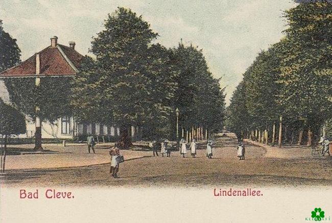 Welch eine Erinnerung: Die beeindruckende Lindenallee