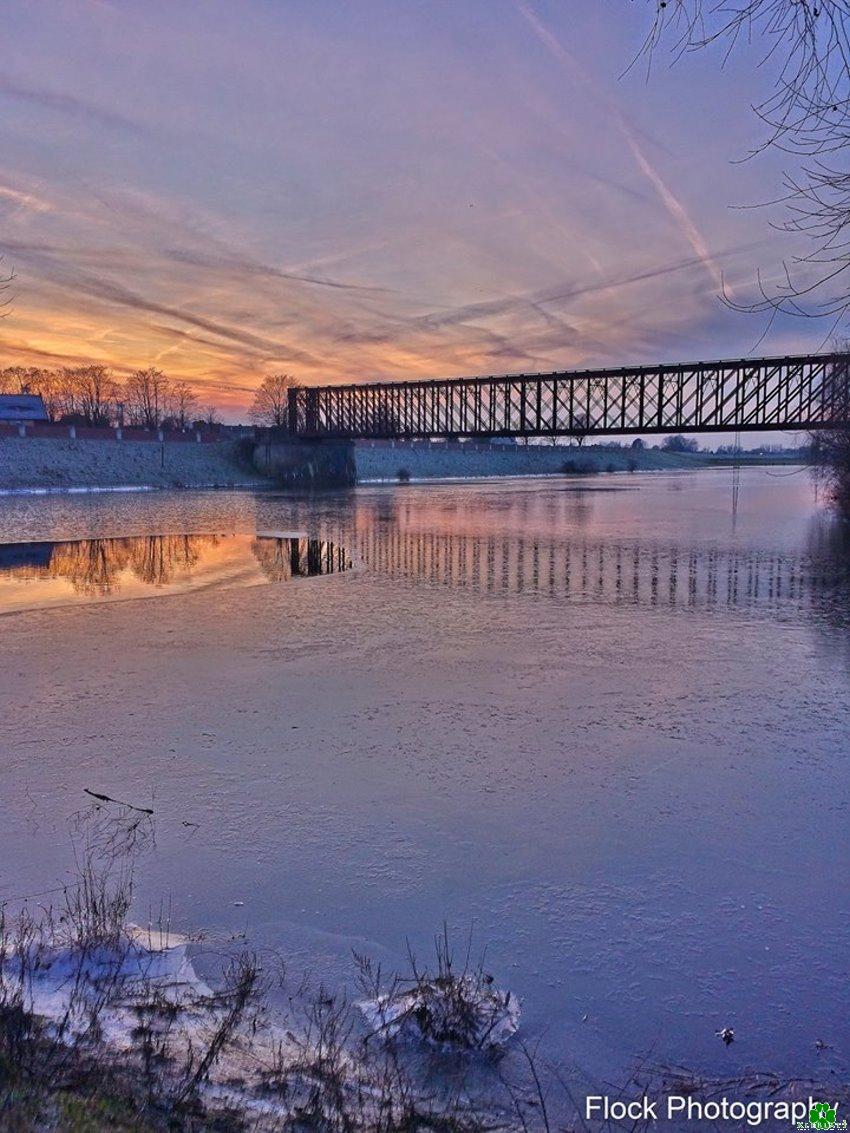 Eisige Aussicht: Alt-Rhein-Brücke im Frost