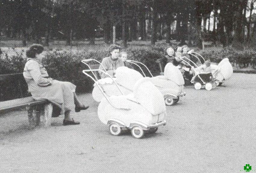 Baby-Boom im Klever Forstgarten