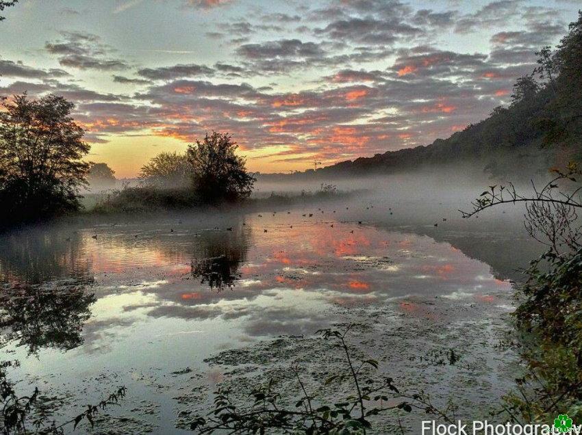 Morgenstimmung in den Klever Niederungen