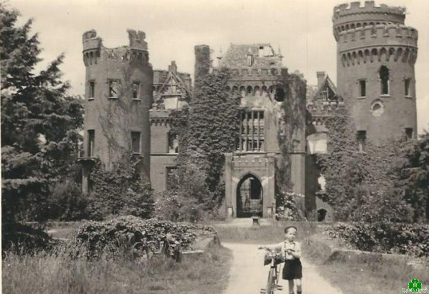 Die überwucherte Ruine Schloss Moyland