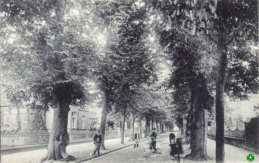 Als die Nassauer Allee noch eine solche war...