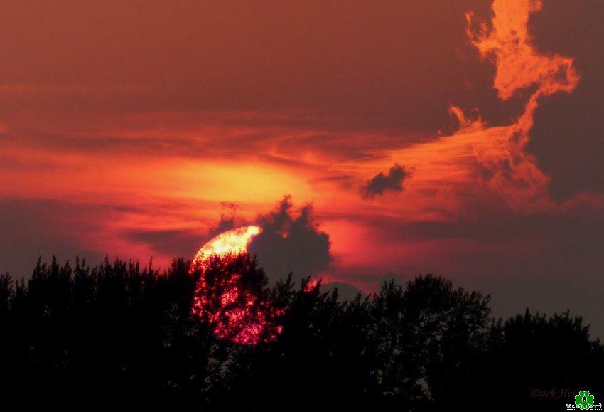 Sonnenuntergang an der Wetering