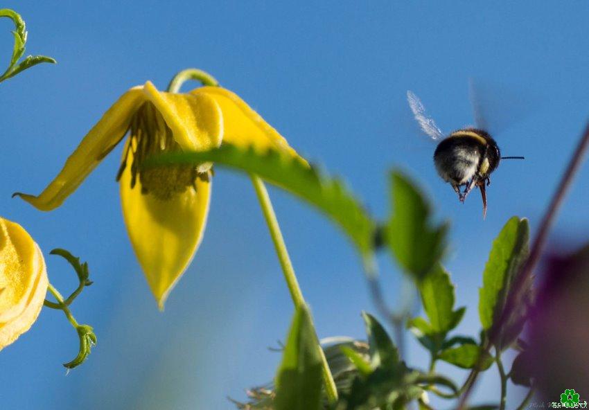 Ein Garten-Ausflug der besonderen Art