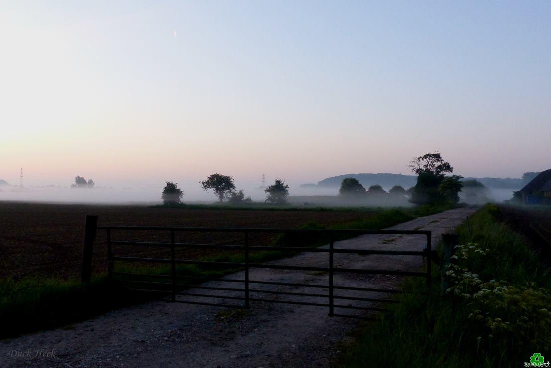 Bodennebel in den Klever Niederungen