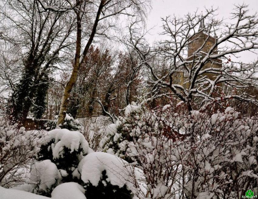 Die Winter-Burg von Kleve