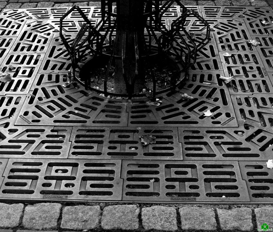 Wer weiß denn, wo sich dieser Fahrradständer befindet?