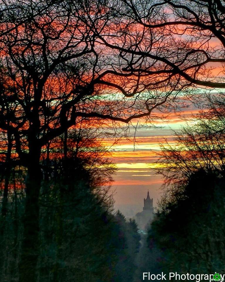 Bunte Streifen am Klever Himmel