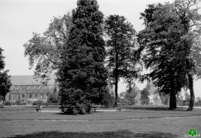 Kanntest Du noch den Moritzpark von 1958?