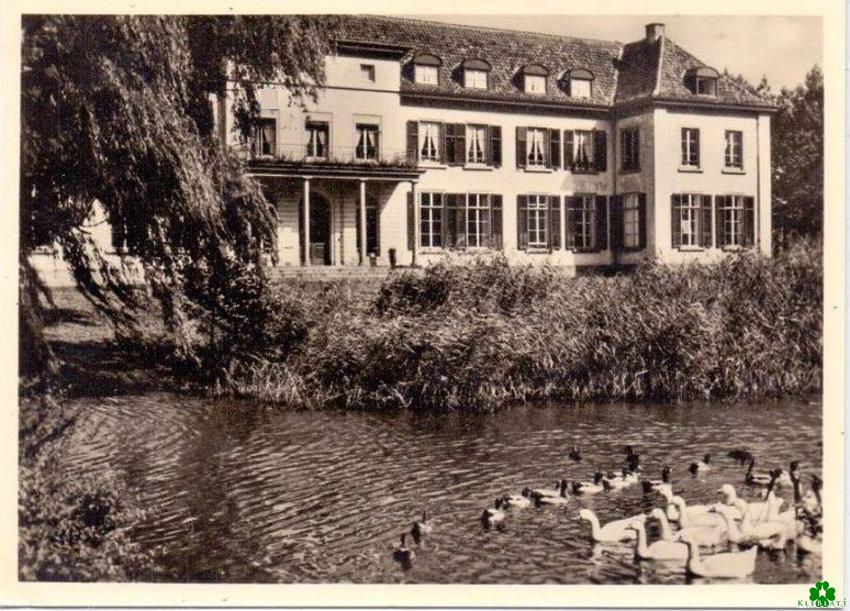 Schwäne versus Enten bei Haus Gnadenthal