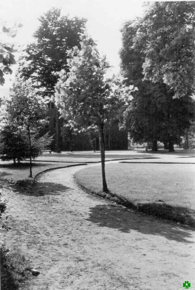 Bist Du hier schon 1956 spaziert?