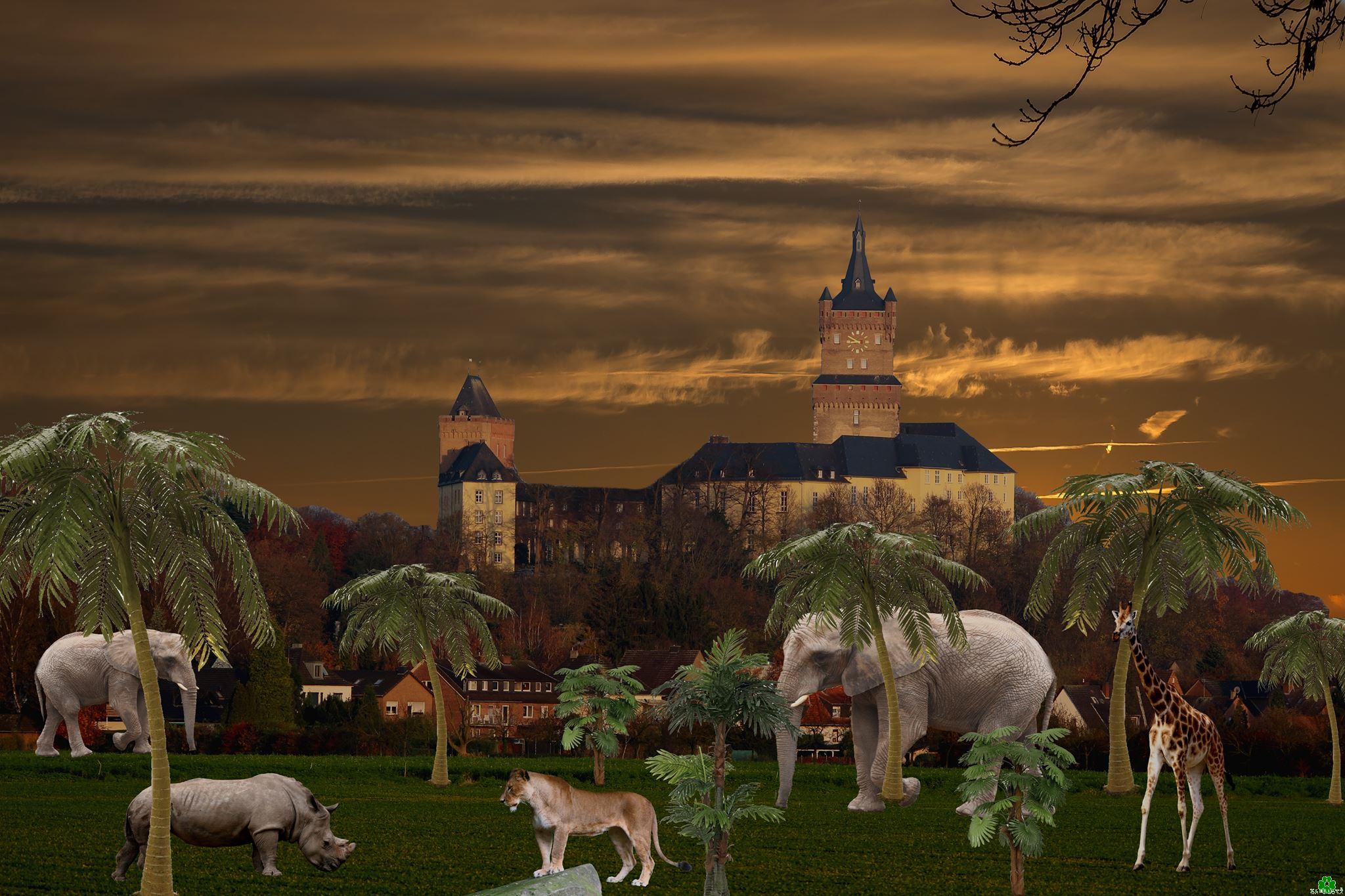 Elefanten, Nashörner und Giraffen in Kleve