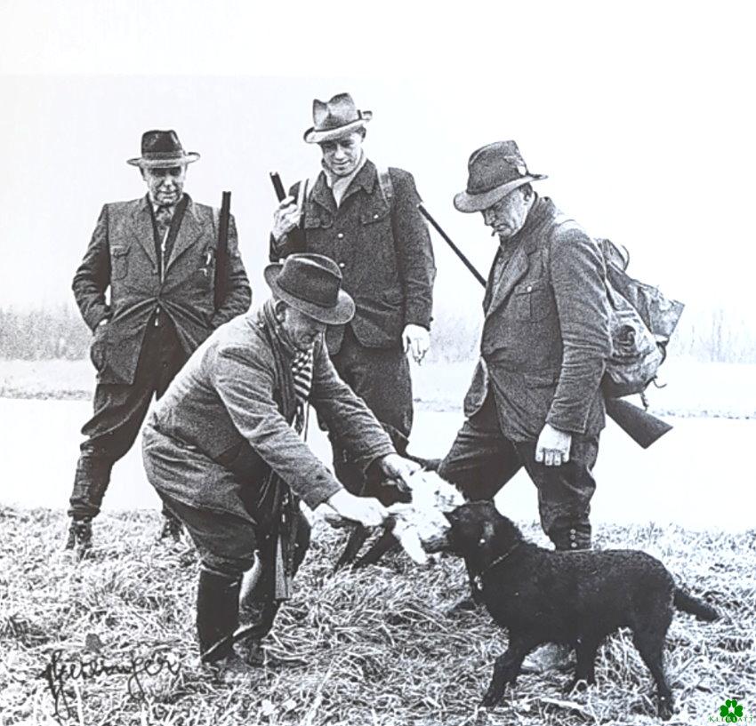 Gib die Beute schon her, Hund!