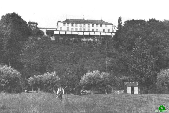 Wusstest Du das von Hotel Maywald?